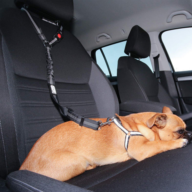 Pet Seatbelt Secured Car Leash