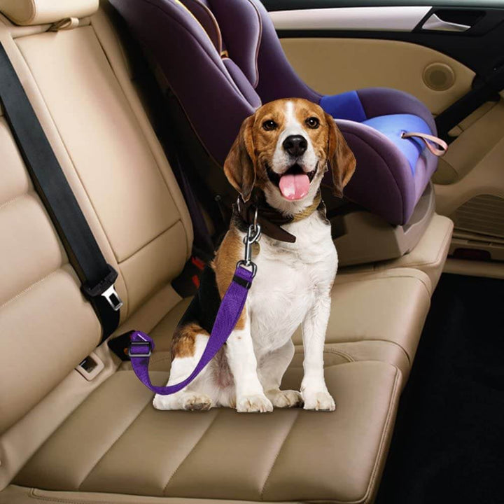 Pet Seatbelt Secured Car Leash