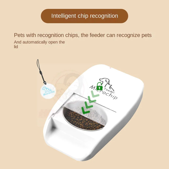 Cats Water Fountain Wireless Sensor Automatic Pet Feeder Automatic Timing Kibble Container Wood Bowl Small Animal Products