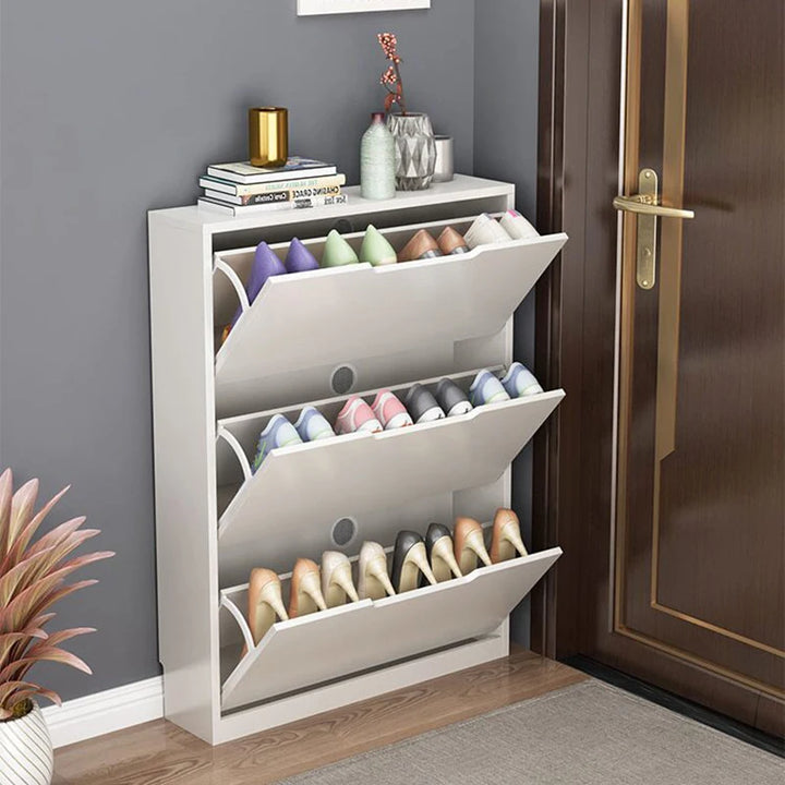 Narrow Shoe Rack Cabinet Storage Side Shoe Rack Modern Simplicity Brief Nordic Style Muebles Para El Hogar Maderaa Furniture