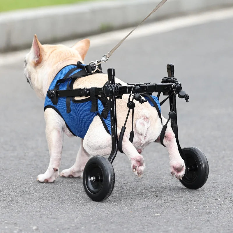 Disability Dog Wheelchair for Hind Legs Support | Adjustable Pet Walk Booster