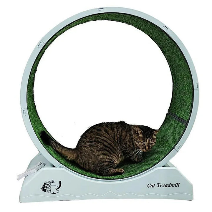 Treadmill Exercise Cat Toys, Interactive Training Wheel, Claw Sharpener, Tunnel Scraper, Tracks Game, Park Cats, Pet Items