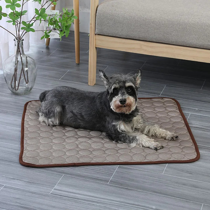 1pc, Dog Cooling Mat, Pet Cooling Pad, Summer Cooling Mat For-Dogs Cats, Pet Dog Self Cooling Mat, Pet Supplies