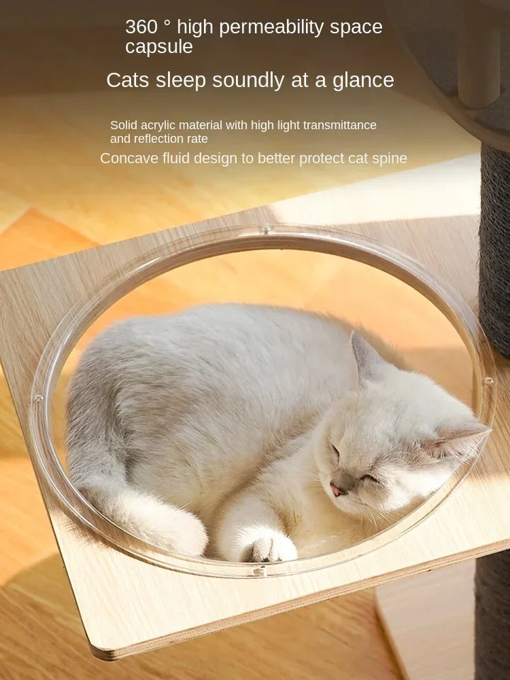 Cat Climbing Frame Cat Tree Nest Wooden Space Capsule Jumping Platform Cat Furniture Pet Supplies Small Space Saving