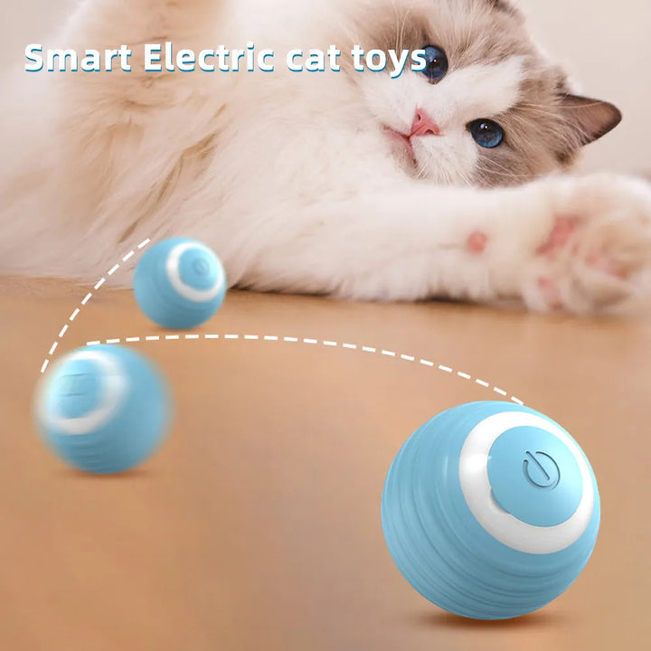 Interactive Cat Toy Ball Feeder | Leaking Treats Ball Dog Pet Feeder Ball | Cat Food Ball Dispenser| Smart Cat Food Dispenser Ball | 43mm Diameter