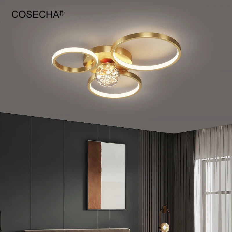 Led Black Ring Ceiling Light Modern Gold Ceiling Lamp In Bedroom Foyer Decorative Contemporary Remote Control Dimmable Lamp