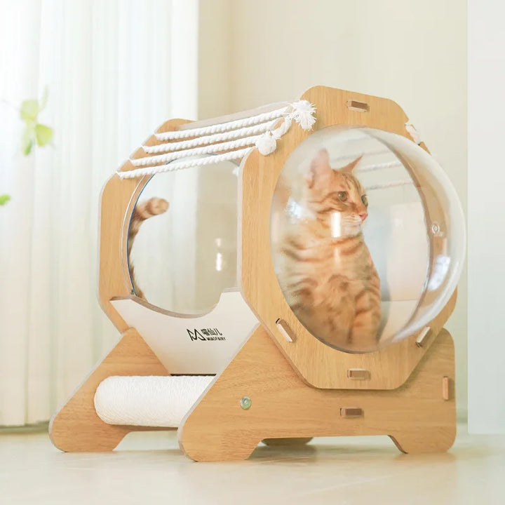 Space Capsule Cat Bed Transparent Cat Nest Pet Cat House Capsule Space 360° No Dead Angle Portable Scratch Board for Cats