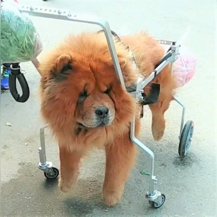 Medium Large Elderly Dog Paralyzed Limb Weakness Dog Auxiliary Bracket Forelimb Disability Spine Damage Fracture Dog Wheelchair