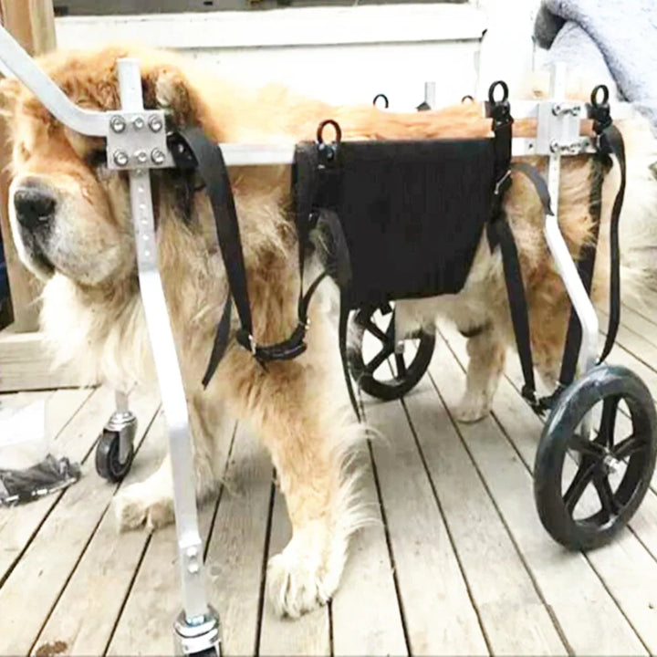 Medium Large Elderly Dog Paralyzed Limb Weakness Dog Auxiliary Bracket Forelimb Disability Spine Damage Fracture Dog Wheelchair