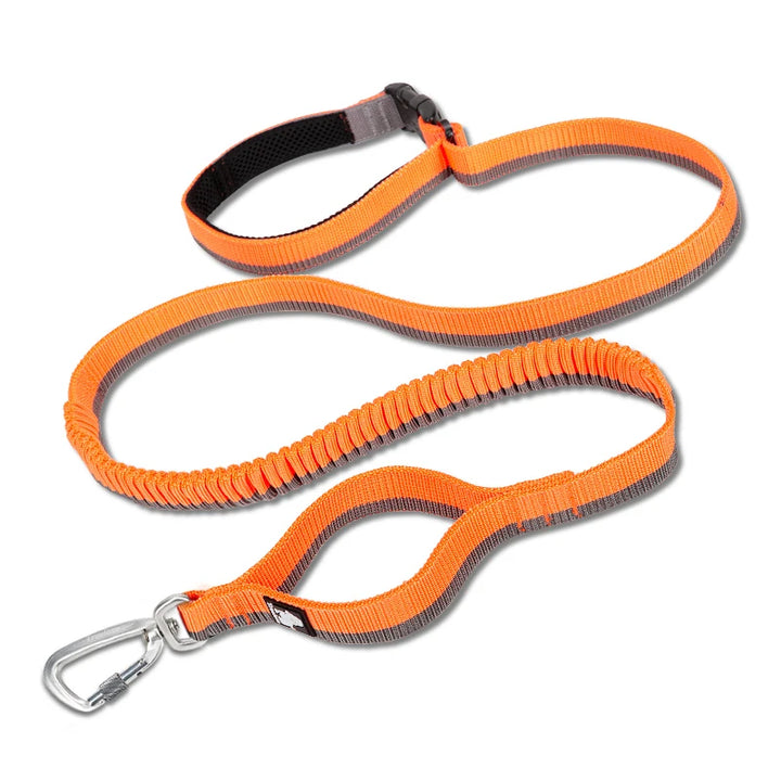 Truelove Running Dog Leash for Running Jogging Walking Retractable Spring Pet Collars & Leashes Nylon Hand-held Dropship TLL2271