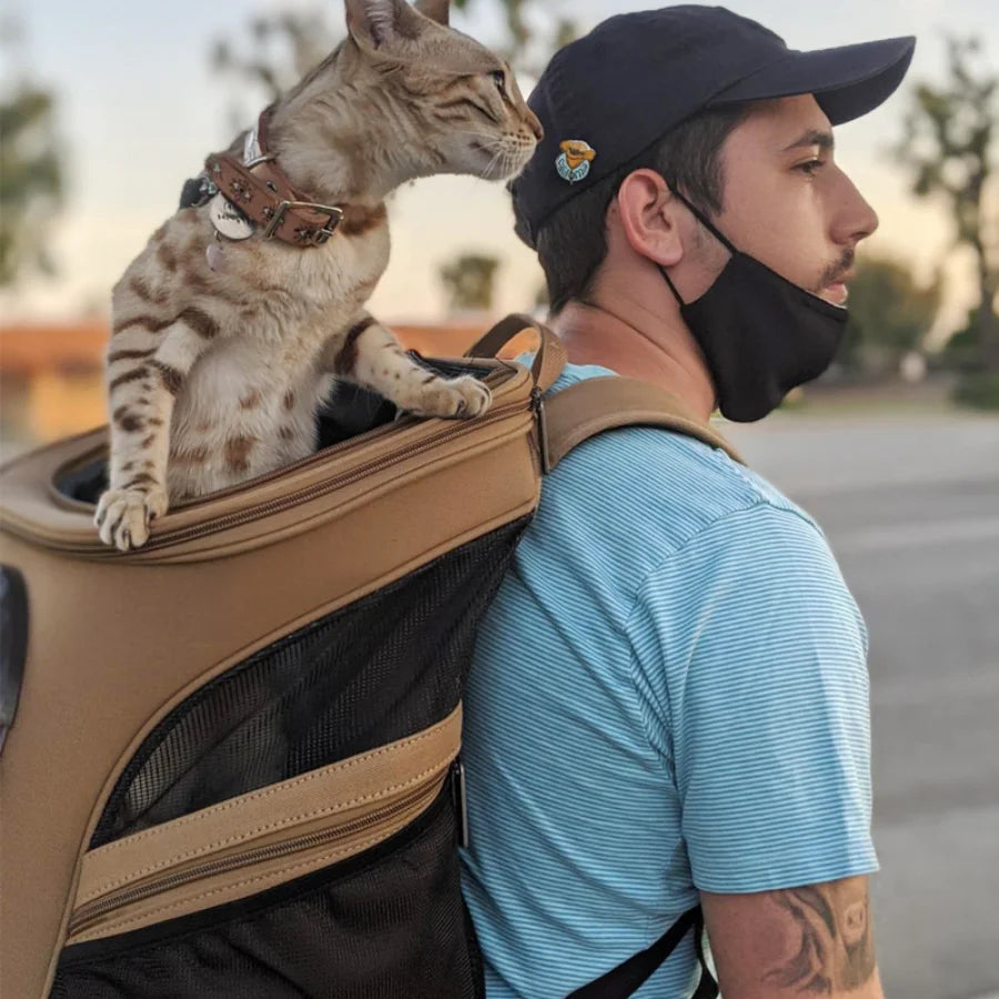 Travel Cat Carrier Backpack Portable Large Top Luxury Cat Carrier Shoulder Bag Double Backpacks Mochila Para Gato Pet Bag