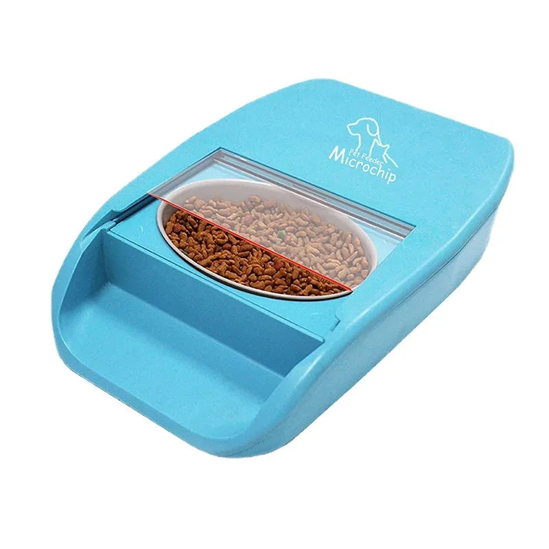 Cats Water Fountain Wireless Sensor Automatic Pet Feeder Automatic Timing Kibble Container Wood Bowl Small Animal Products