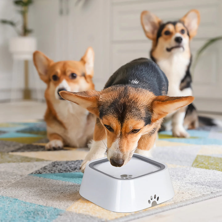 No-Spill Portable Dog Water Dispenser Bowl