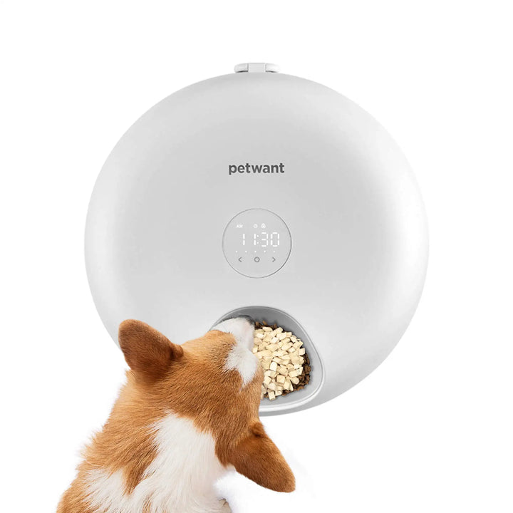 Petwant Auto Timed Pet Bowls Feeder ABS Food Dispenser LED Screen Eco-Friendly Charge Powered Cats Small Animals 6 Meals Feeder