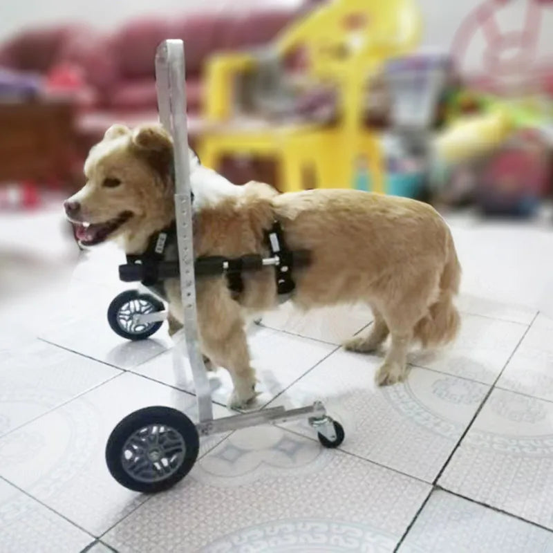 Pet Wheelchair Tailored-Small Foreleg Wheelchair Front Leg  Auxiliary Bracket Disabled Injury Incapacitated Teddy Bomei Schnauze