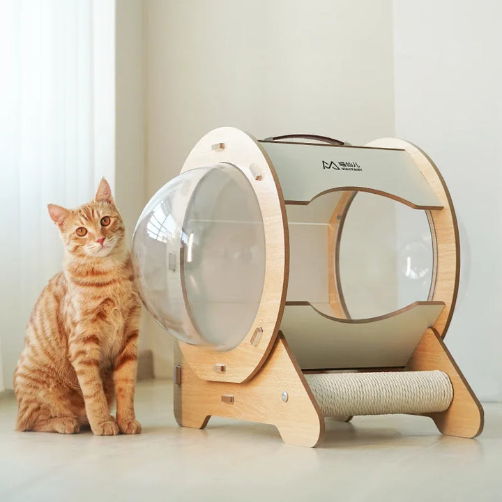 Space Capsule Cat Bed Transparent Cat Nest Pet Cat House Capsule Space 360° No Dead Angle Portable Scratch Board for Cats