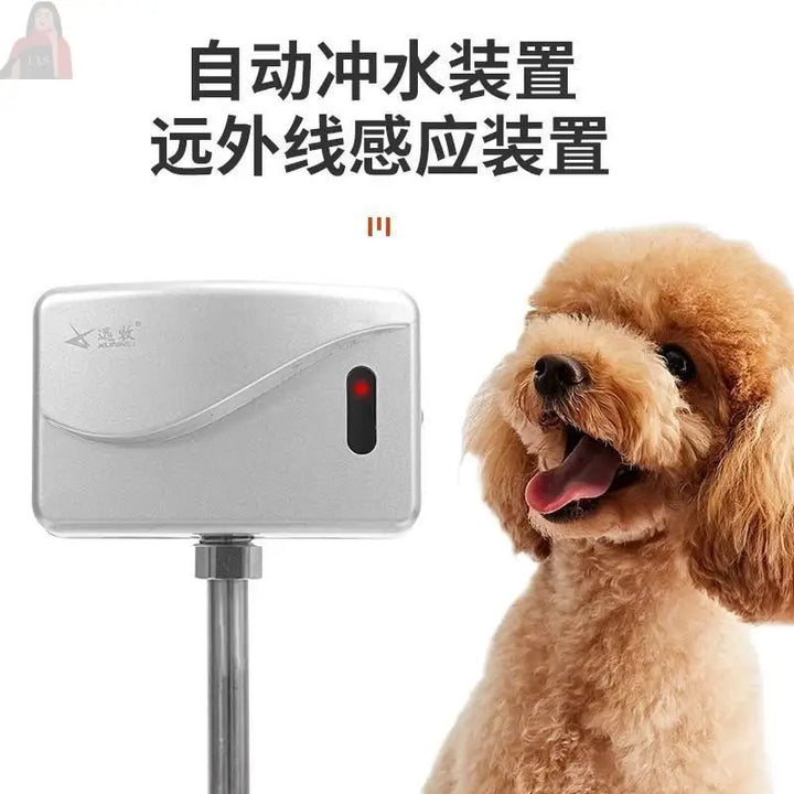 Bathroom Dog Cleaning Products Litter Large Modern Design Strainer Portable Dog Toilet Scraper Arenero Autolimpiable Pet Items