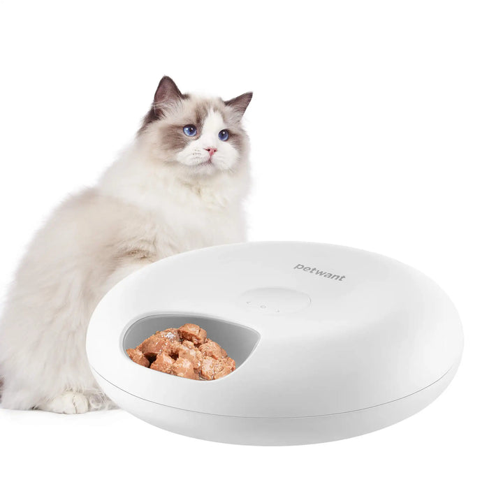 Petwant Auto Timed Pet Bowls Feeder ABS Food Dispenser LED Screen Eco-Friendly Charge Powered Cats Small Animals 6 Meals Feeder