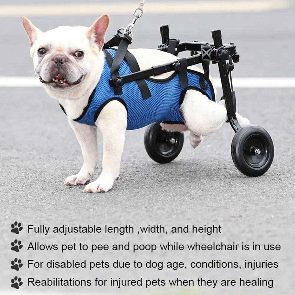 Disability Dog Wheelchair for Hind Legs Support | Adjustable Pet Walk Booster