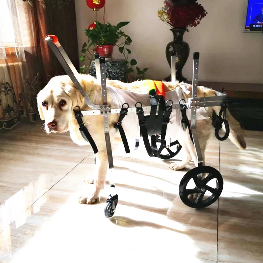 Medium Large Elderly Dog Paralyzed Limb Weakness Dog Auxiliary Bracket Forelimb Disability Spine Damage Fracture Dog Wheelchair