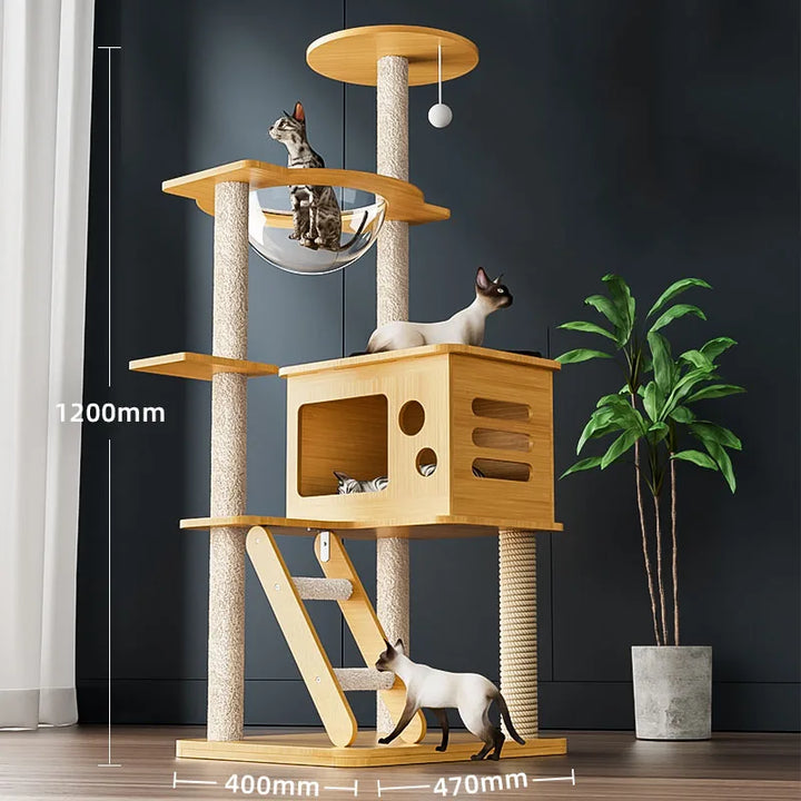 Wooden indoor cat trees tower condo small capsule scratching platform climbing game stand house with scratcher cat pet products