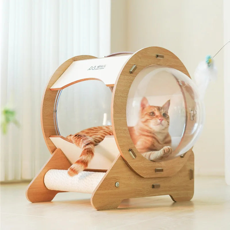 Space Capsule Cat Bed Transparent Cat Nest Pet Cat House Capsule Space 360° No Dead Angle Portable Scratch Board for Cats