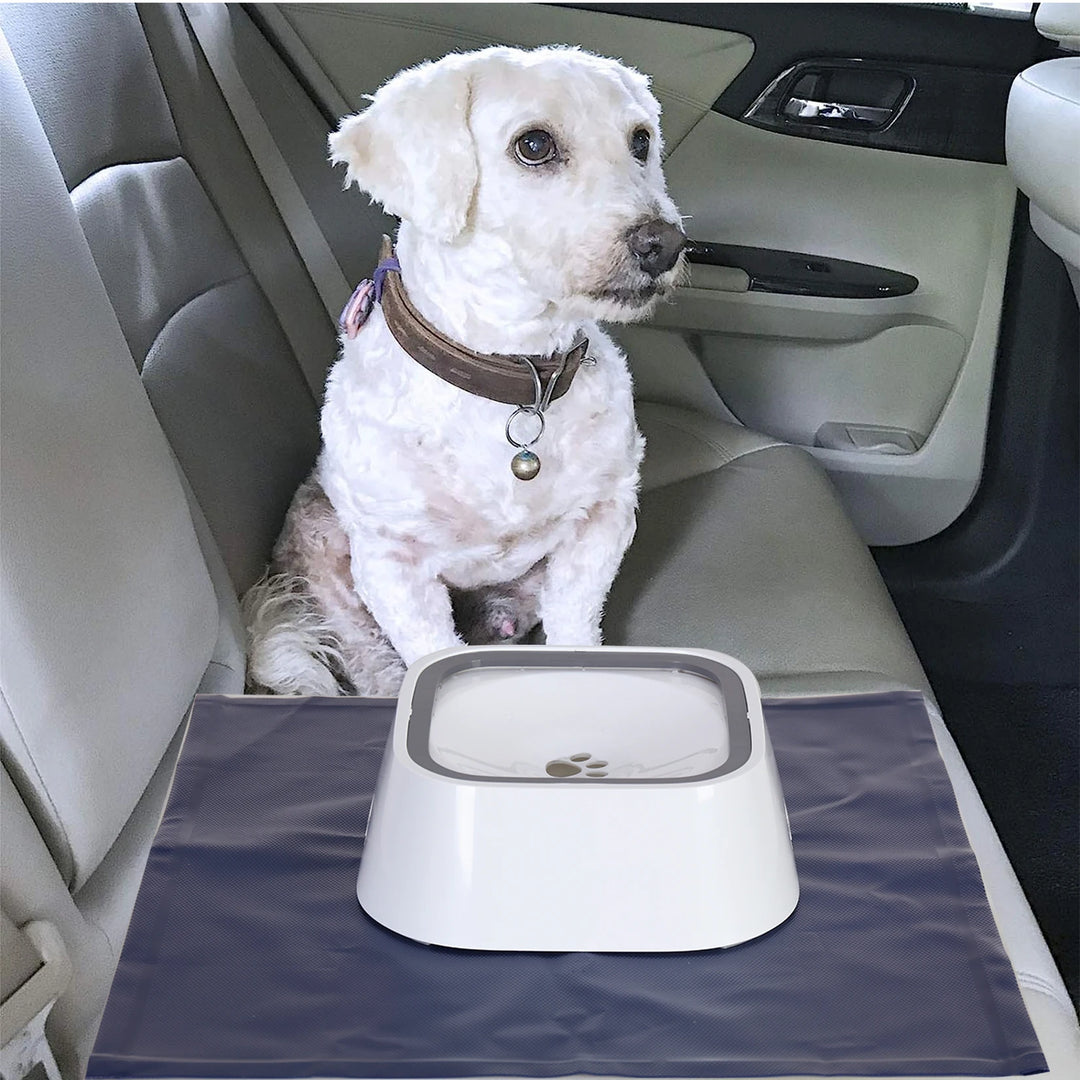 No-Spill Portable Dog Water Dispenser Bowl