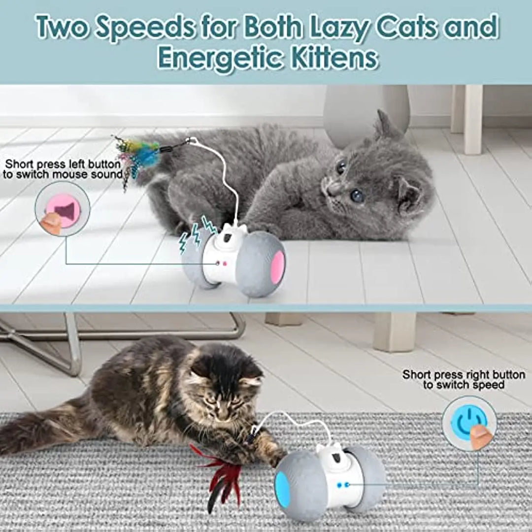 ATUBAN Interactive Cat Toy for Indoor Automatic Cat Toy,Food Dispenser and Mouse Sound Anti-Collision Silicone Wheel Kitten Toys