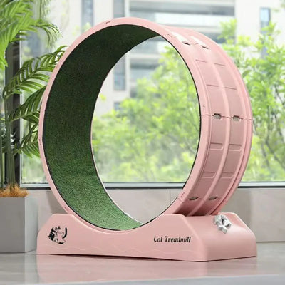 Treadmill Exercise Cat Toys, Interactive Training Wheel, Claw Sharpener, Tunnel Scraper, Tracks Game, Park Cats, Pet Items
