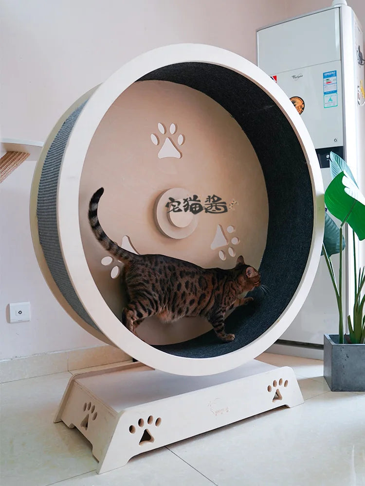 Treadmill Exercise Wheel for Cats, Cat Tracks, Pet Toys, Gym Interactive Training Tunnel, Game Park, Cats Accessories for Home