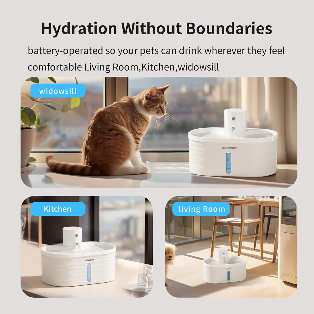 Petwant Custom 2.5L Cordless Cat Drinking Fountain Infrared Sensor 3 Flow Modes Automatic Pet Water Dispenser