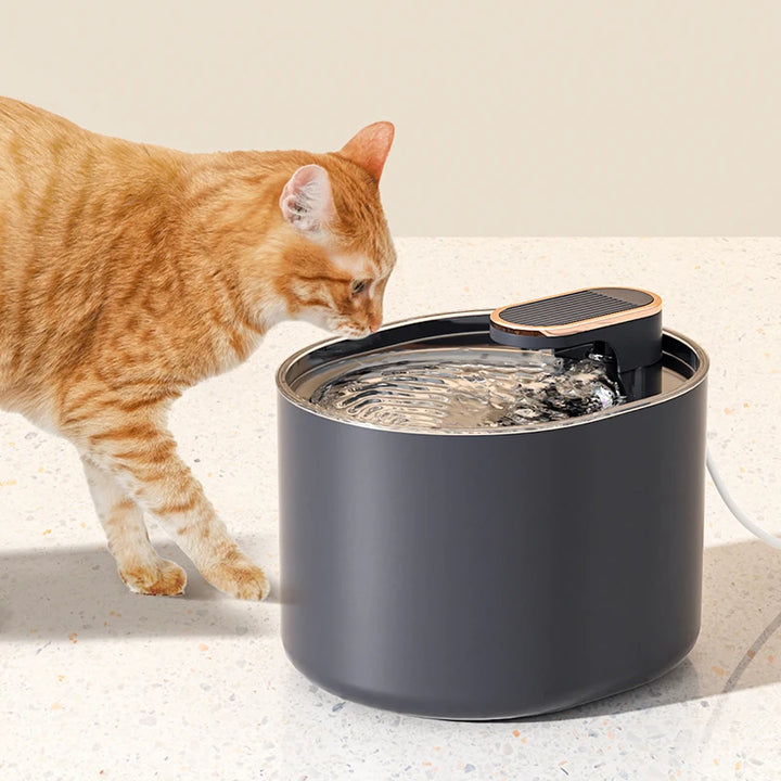 3L Automatic Cat Water Fountain with LED Light Ultra Silent USB Cats Electric Mute Water Feeder Pet Drinking Water Fountain